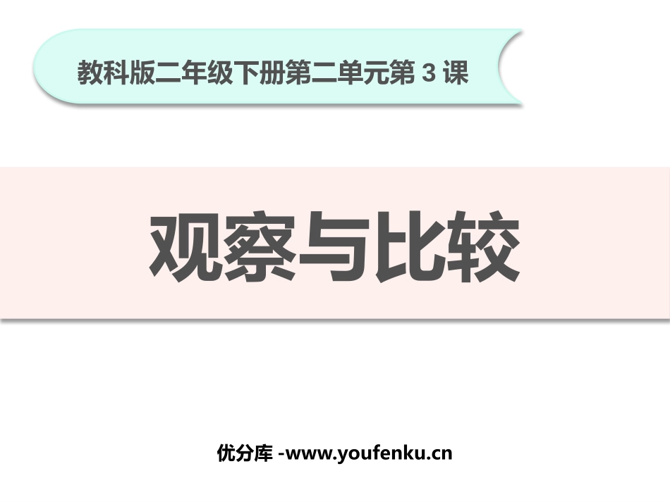 《观察与比较》PPT免费课件[教科版二年级科学下册]_第1页