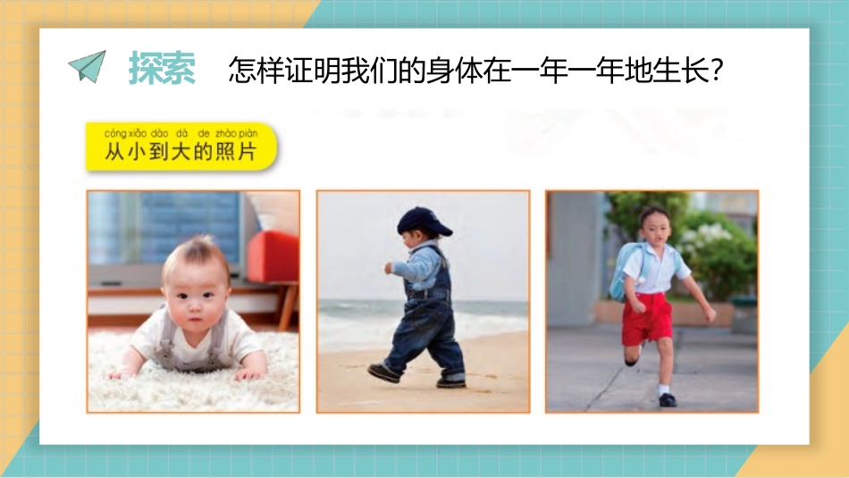 《发现生长》PPT课件[教科版二年级科学下册]_第3页