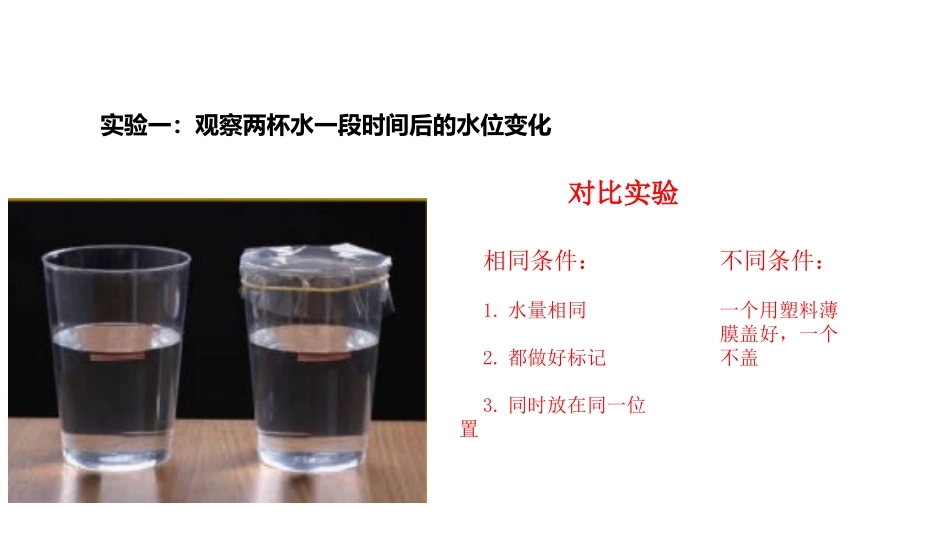 《水到哪里去了》PPT课件[教科版三年级科学上册]_第3页