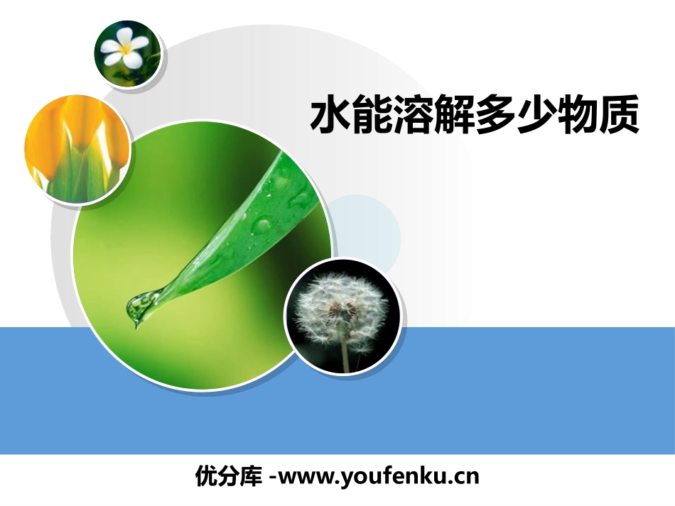 《水能溶解多少物质》PPT课件[教科版三年级科学上册]_第1页