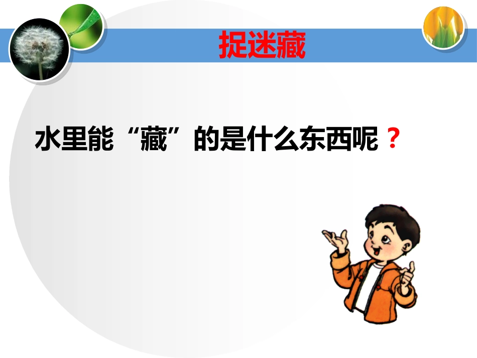 《水能溶解多少物质》PPT课件[教科版三年级科学上册]_第2页