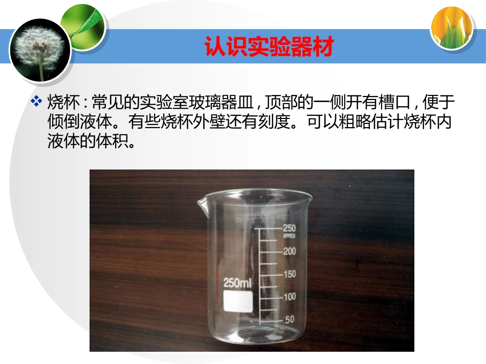 《水能溶解多少物质》PPT课件[教科版三年级科学上册]_第3页