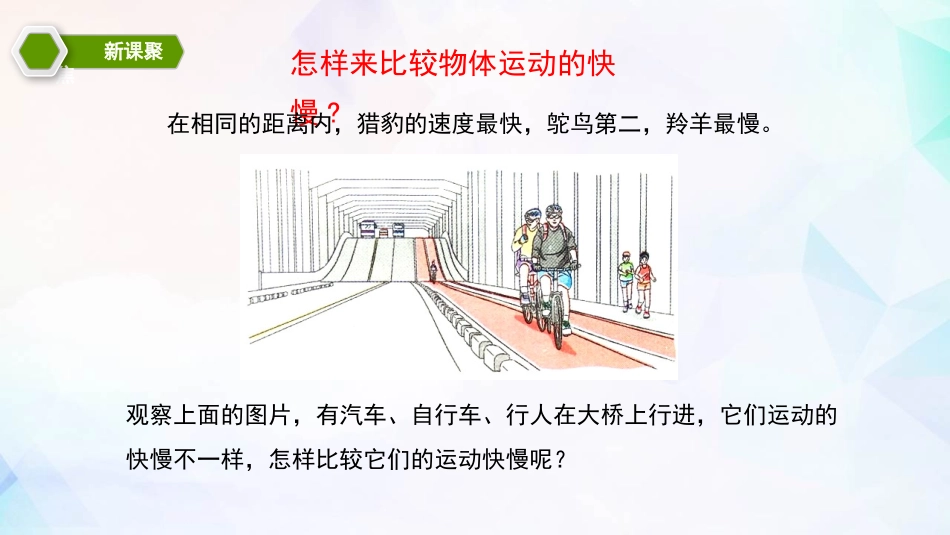 《比较相同距离内运动的快慢》PPT课件[教科版三年级科学]_第2页