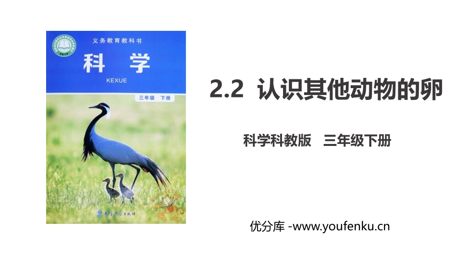《认识其他动物的卵》PPT课件[教科版三年级科学下册]_第1页