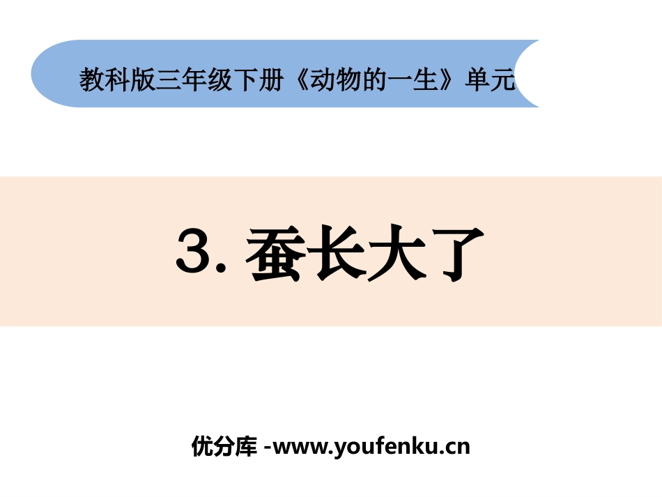 《蚕长大了》PPT课件[教科版三年级科学下册]_第1页
