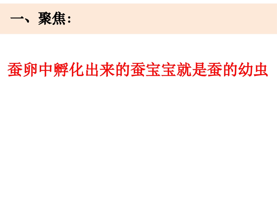 《蚕长大了》PPT课件[教科版三年级科学下册]_第2页