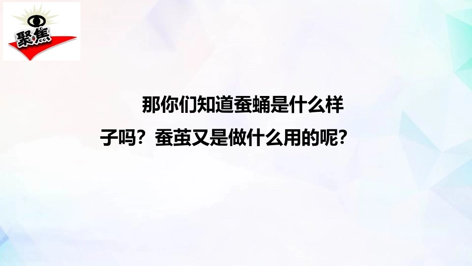 《蚕变了新模样》PPT课件[教科版三年级科学下册]_第2页