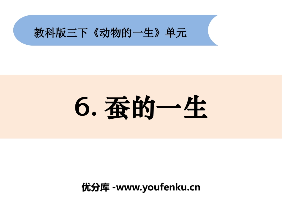 《蚕的一生》PPT分PPT课件[教科版三年级科学下册]_第1页