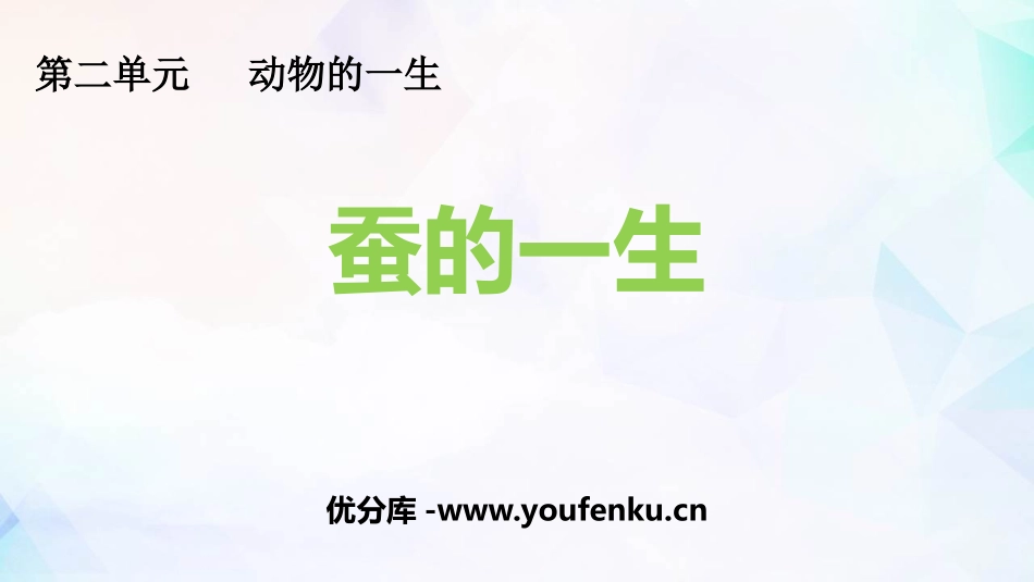 《蚕的一生》PPT教学课件[教科版三年级科学下册]_第1页