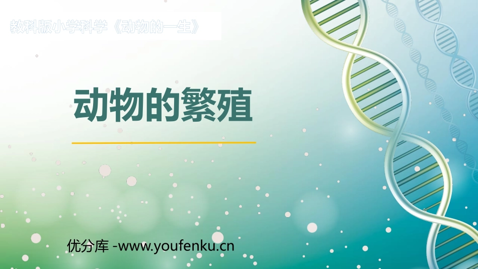 《动物的繁殖》PPT课件[教科版三年级科学下册]_第1页