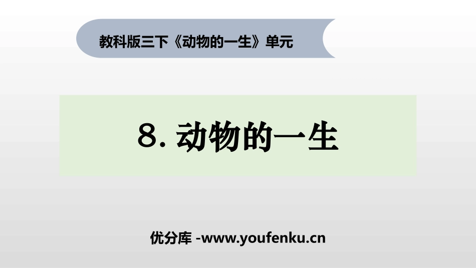 《动物的一生》PPT教学课件[教科版三年级科学下册]_第1页