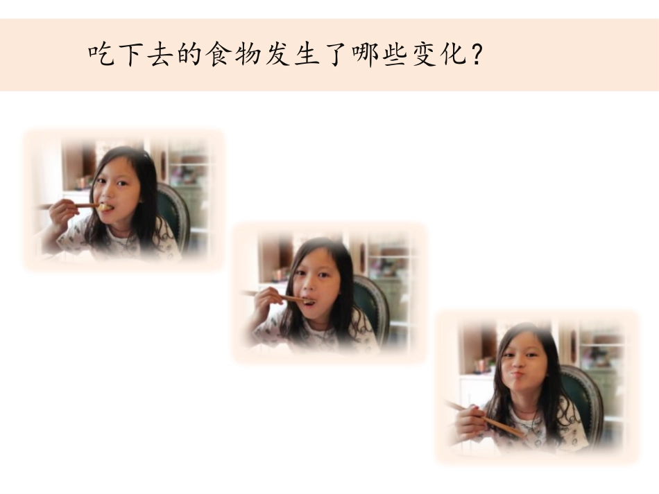 《食物在口腔里的变化》PPT课件[教科版四年级科学上册]_第3页