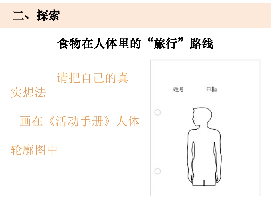 《食物在身体里的旅行》PPT课件[教科版四年级科学上册]_第3页