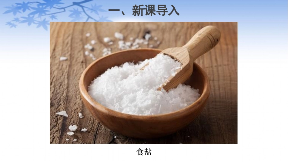 《原子的结构》PPT教学课件[人教版九年级化学上册]_第2页