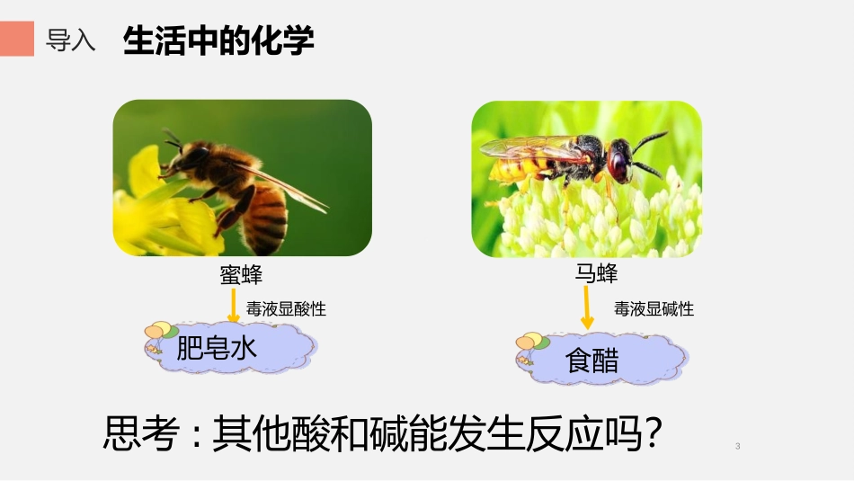 《酸和碱的中和反应》PPT课件[人教版九年级化学下册]_第3页