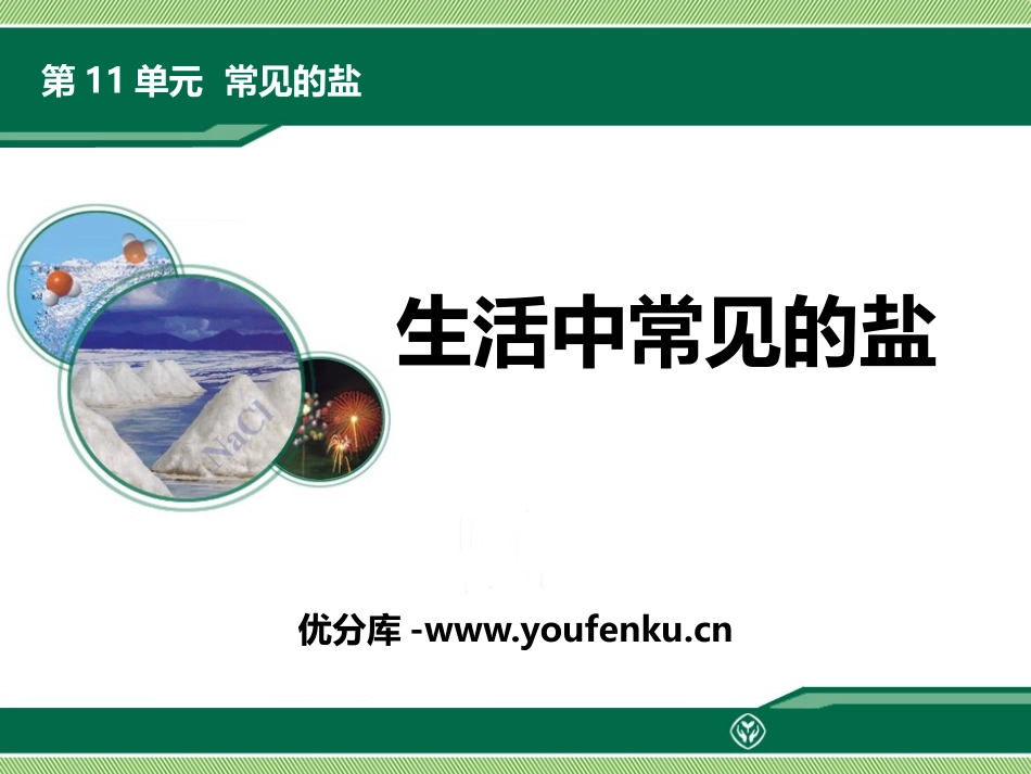 《生活中常见的盐》PPT优质课件[人教版九年级化学下册]_第1页