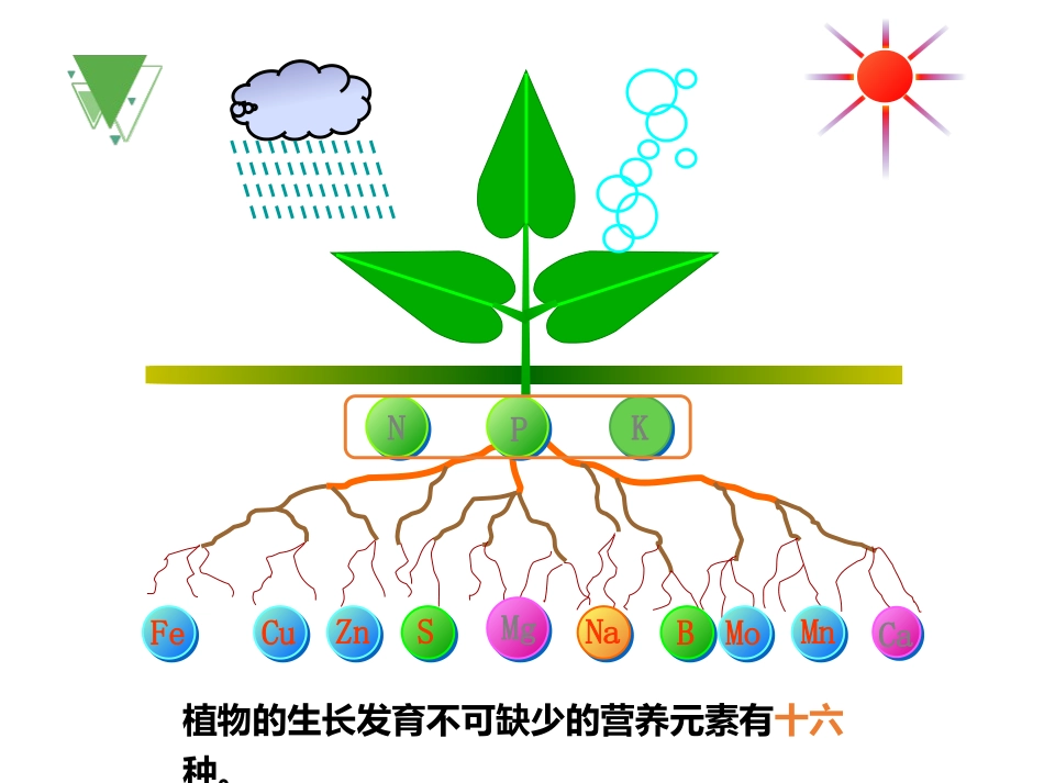 《化学肥料》PPT课件[人教版九年级化学下册]_第3页