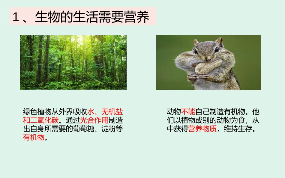 《生物的特征》PPT课件[人教版七年级生物上册]_第2页