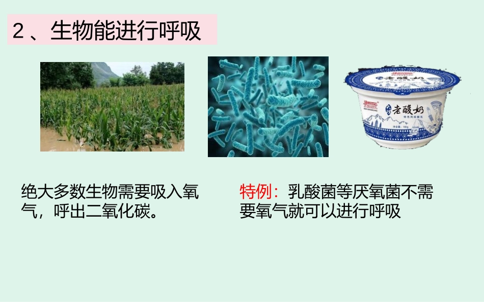《生物的特征》PPT课件[人教版七年级生物上册]_第3页