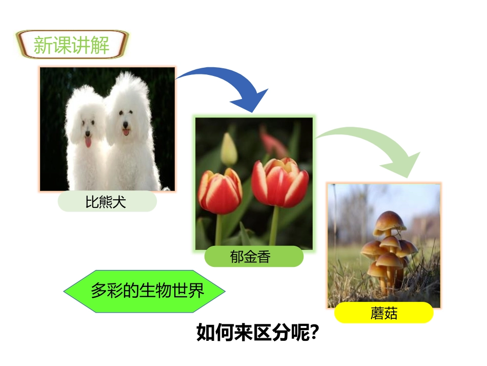 《生物的特征》PPT课件[人教版七年级生物上册]_第3页