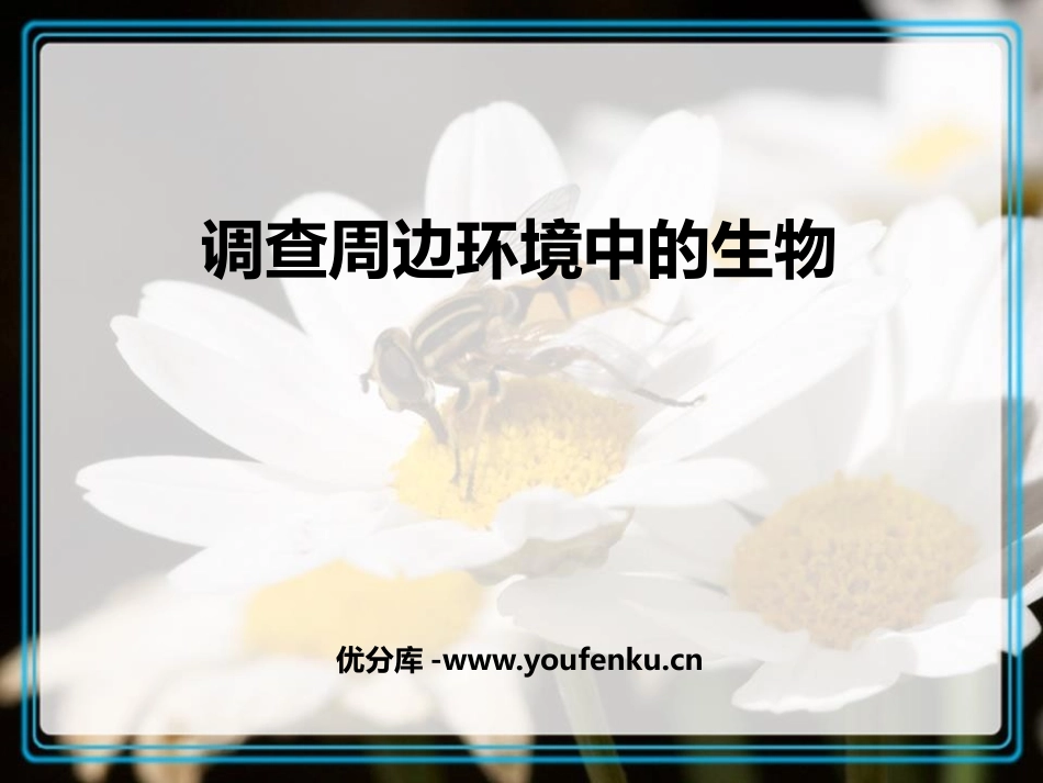 《调查周边环境中的生物》PPT课件[人教版七年级生物上册]_第1页