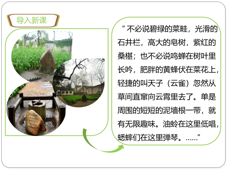 《调查周边环境中的生物》PPT优质课件[人教版七年级生物]_第3页