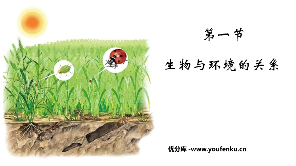 《生物与环境的关系》PPT免费课件[人教版七年级生物上册]_第1页