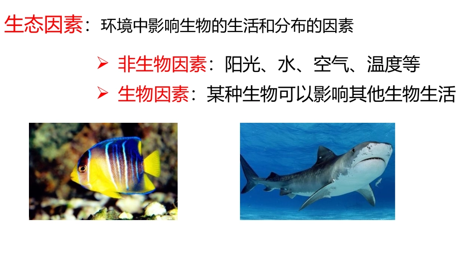 《生物与环境的关系》PPT免费课件[人教版七年级生物上册]_第2页