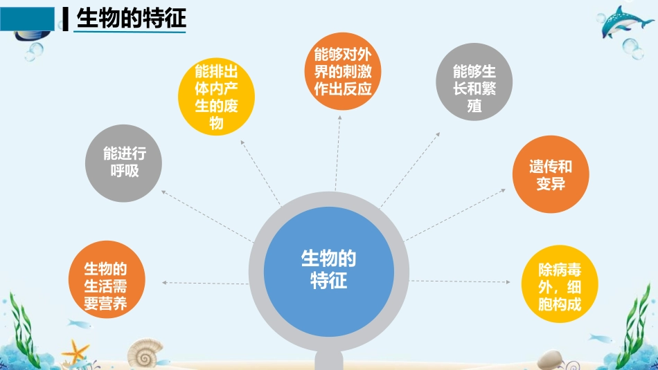 《生物与环境的关系》PPT优质课件[人教版七年级生物上册]_第2页