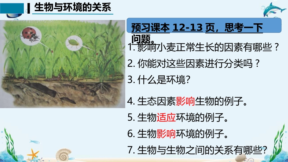 《生物与环境的关系》PPT优质课件[人教版七年级生物上册]_第3页