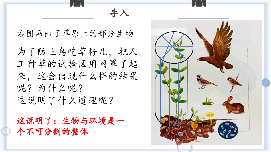 《生物与环境组成生态系统》PPT教学课件[人教版七年级生物]_第2页