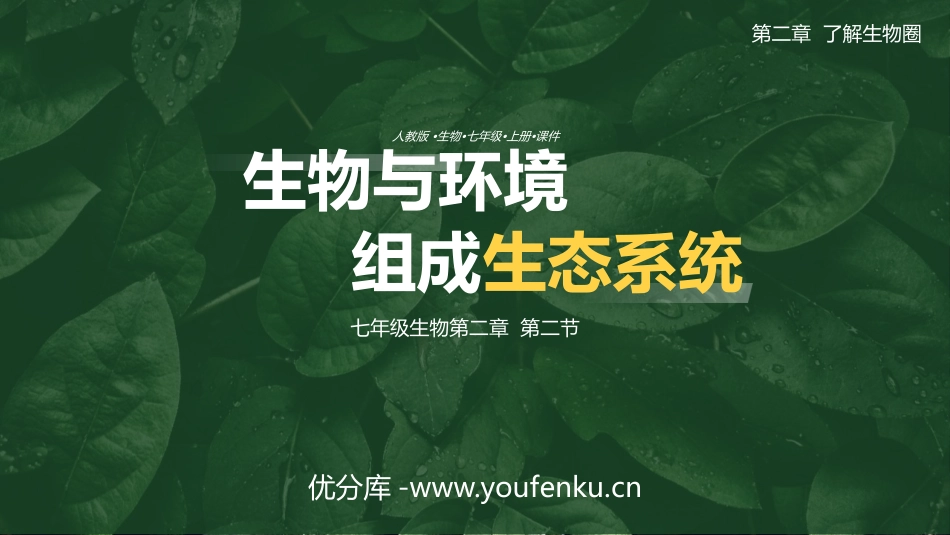 《生物与环境组成生态系统》PPT课件[人教版七年级生物上册]_第1页