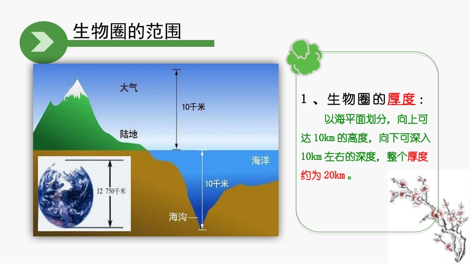 《生物与环境组成生态系统》PPT优质课件[人教版七年级生物]_第3页
