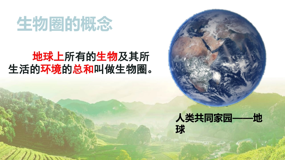 《生物圈是最大的生态系统》PPT教学课件[人教版七年级生物]_第3页