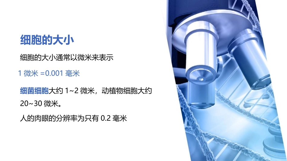 《练习使用显微镜》PPT课件[人教版七年级生物上册]_第3页