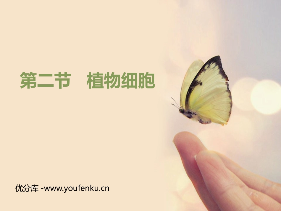 《植物细胞》PPT教学课件[人教版七年级生物上册]_第1页