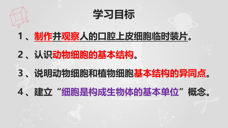 《动物细胞》PPT教学课件[人教版七年级生物上册]_第2页