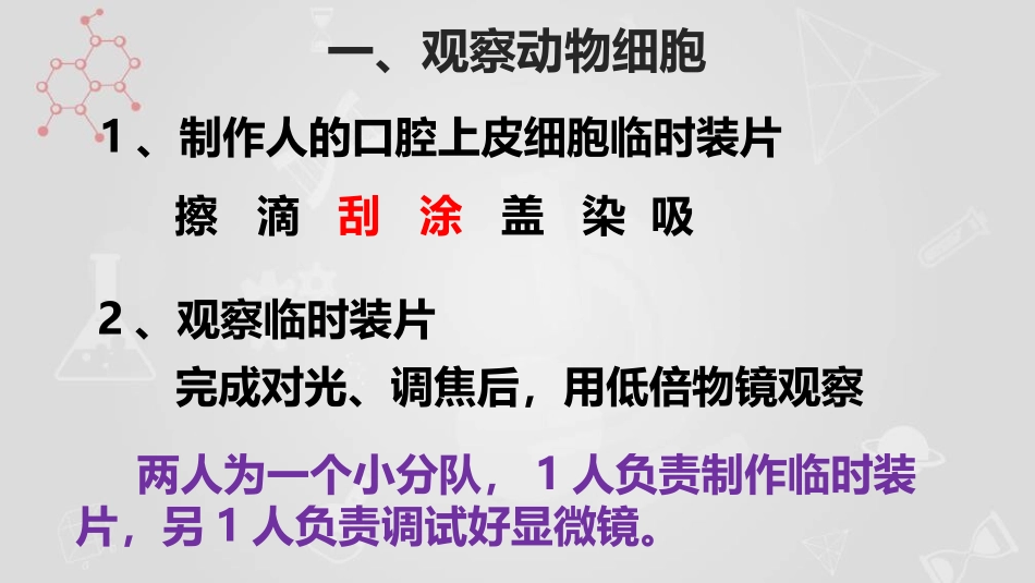 《动物细胞》PPT教学课件[人教版七年级生物上册]_第3页