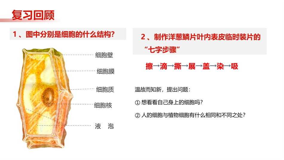 《动物细胞》PPT课件[人教版七年级生物上册]_第2页
