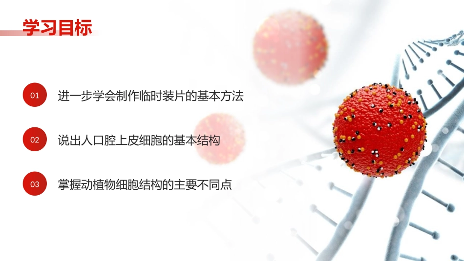 《动物细胞》PPT课件[人教版七年级生物上册]_第3页