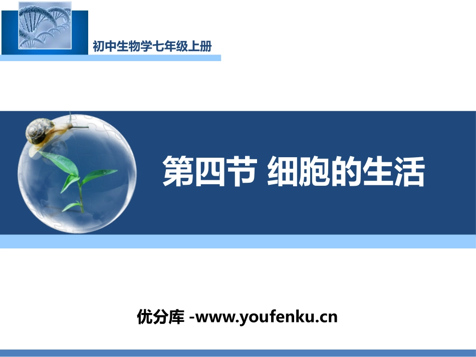 《细胞的生活》PPT课件[人教版七年级生物上册]_第1页