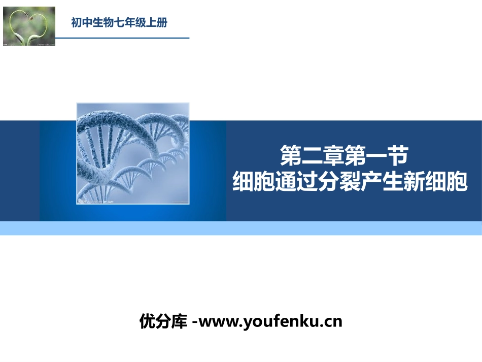 《细胞通过分裂产生新细胞》PPT教学课件[人教版七年级生物]_第1页