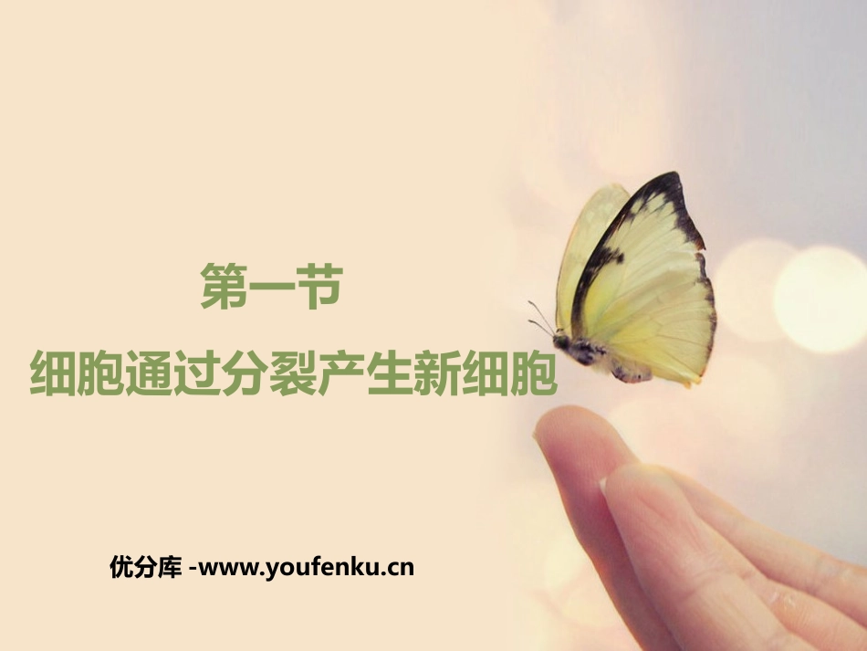 《细胞通过分裂产生新细胞》PPT课件[人教版七年级生物上册]_第1页