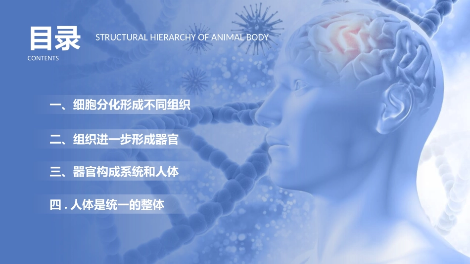 《动物体的结构层次》PPT教学课件[人教版七年级生物上册]_第1页