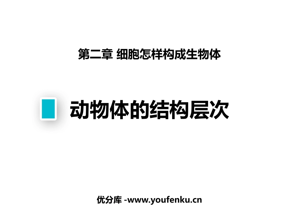 《动物体的结构层次》PPT课件[人教版七年级生物上册]_第1页