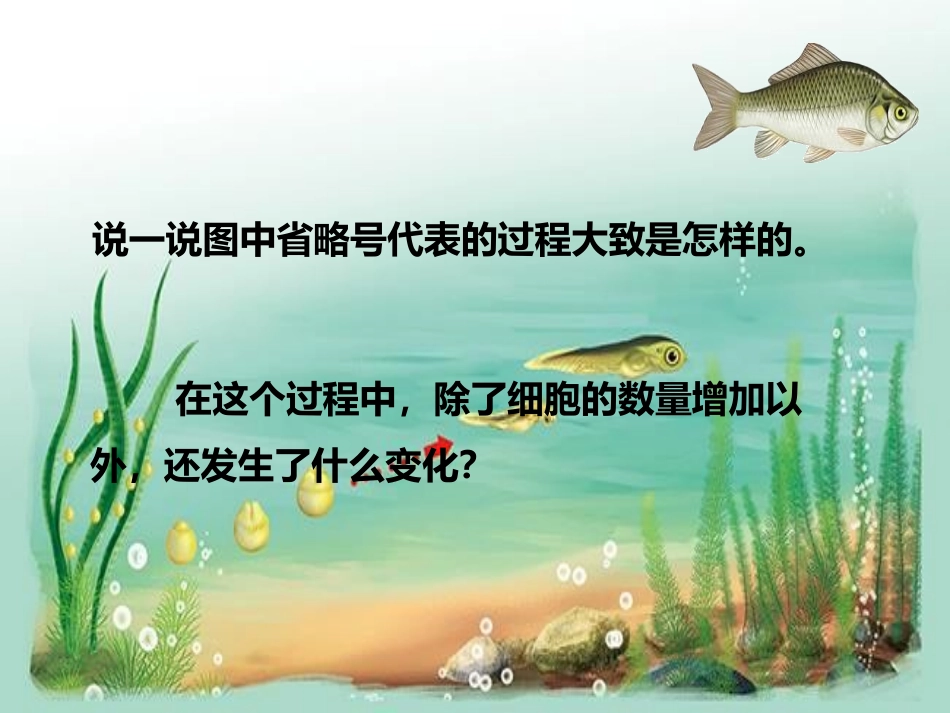 《动物体的结构层次》PPT课件[人教版七年级生物上册]_第2页