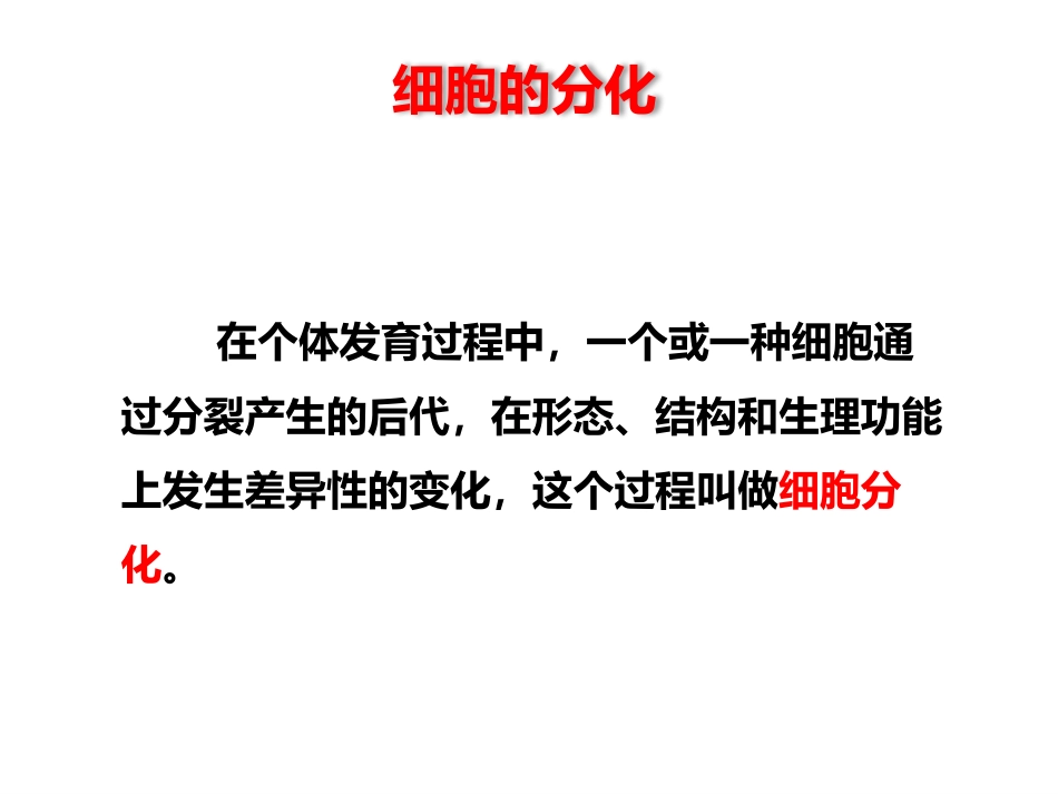 《动物体的结构层次》PPT课件[人教版七年级生物上册]_第3页