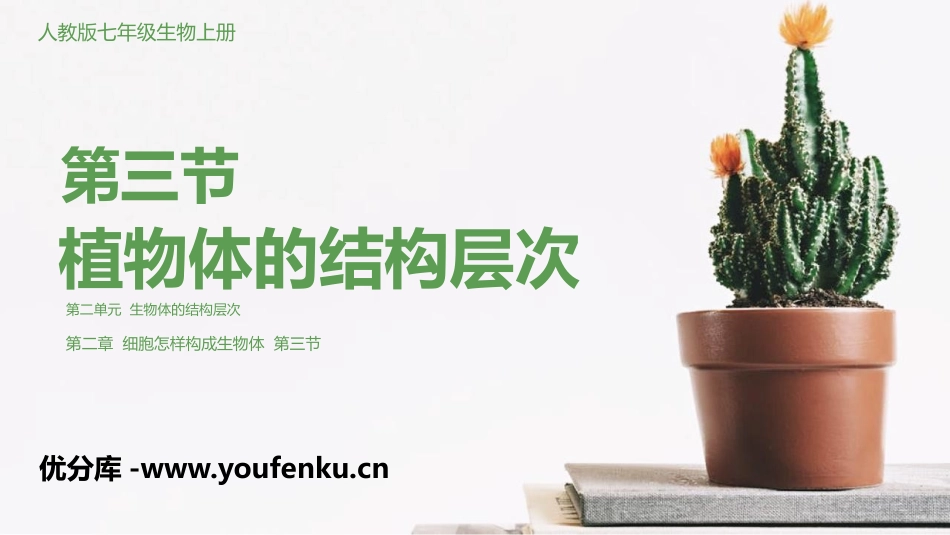 《植物体的结构层次》PPT教学课件[人教版七年级生物上册]_第1页