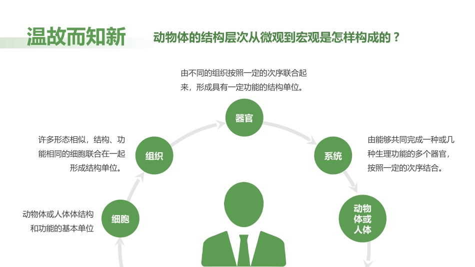 《植物体的结构层次》PPT教学课件[人教版七年级生物上册]_第2页