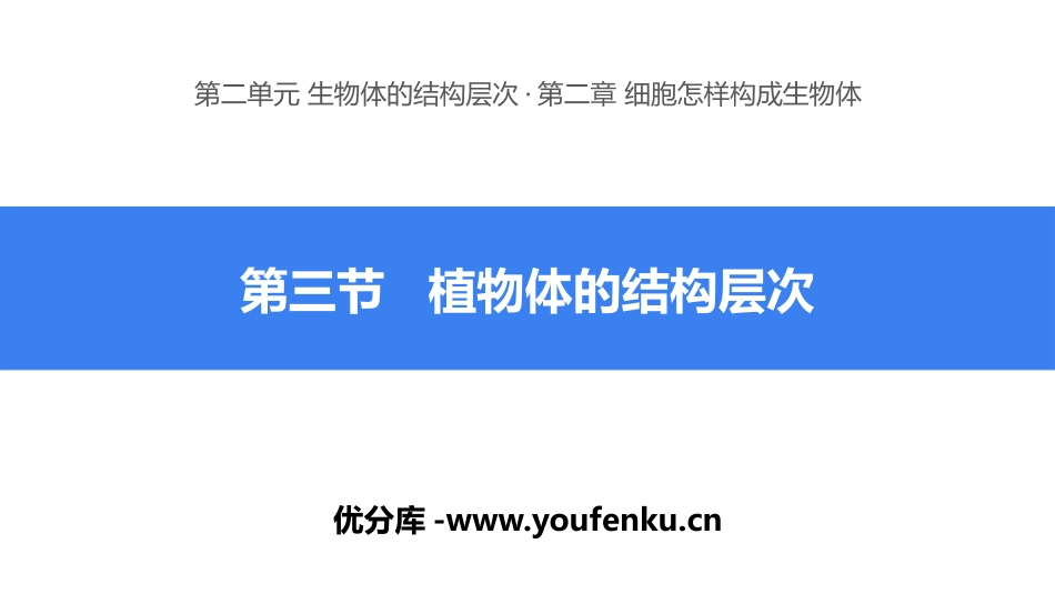 《植物体的结构层次》PPT课件[人教版七年级生物上册]_第1页